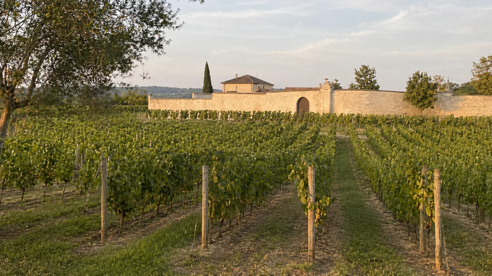 Bordeaux Wine: A Plain-English Guide